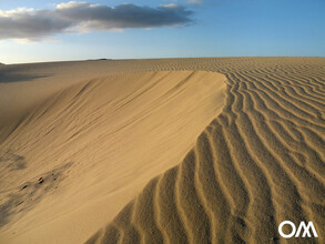 Social distancing is not a problem in Fuerteventura