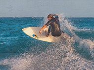 Learn to surf on Fuerteventura
