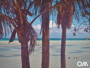 At high tide, the tidal lagoon in nearby Costa Calma fills up, where you can swim under palm trees