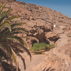 The picturesque palm canyon Buen Paso in Fuerteventura is also a climbing area