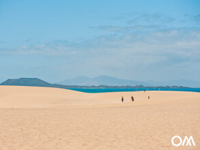 the dunes in the north of Fuerteventura