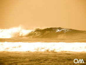 empty line ups await you in March ...
